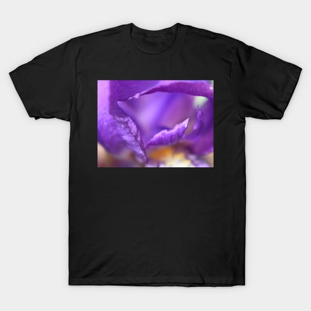 Iris petals T-Shirt by ToniaDelozier